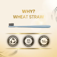 Wheat Straw Toothbrush (Pack of 3)