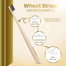 Wheat Straw Toothbrush (Pack of 3)